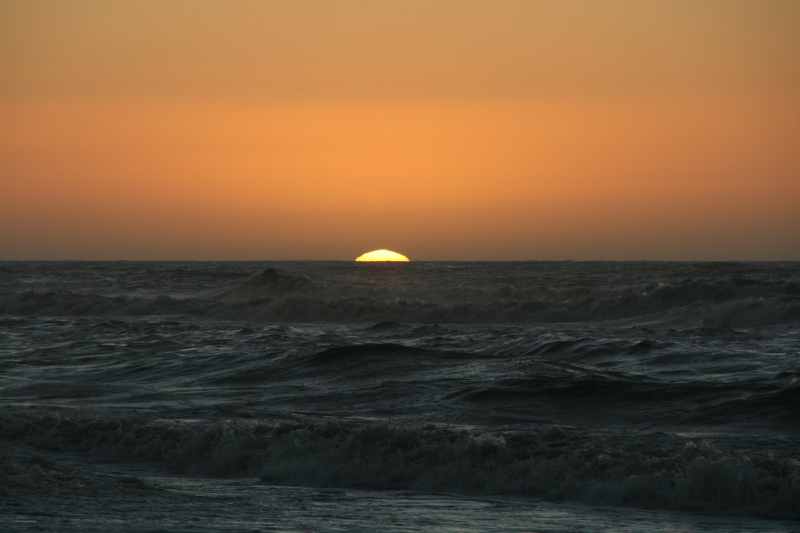 Nieuw-Zeeland 2011 - 1384